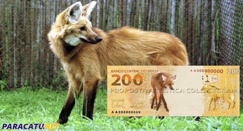  A partir desta quarta-feira (2) a nota de R$200 passa a circular no país
