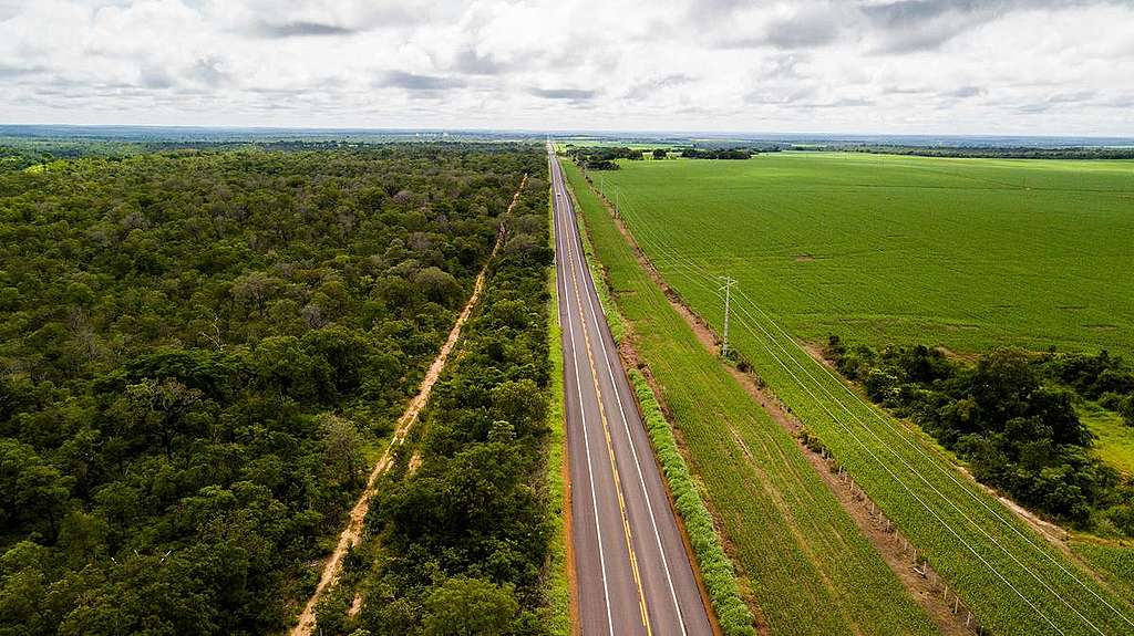 Piauí aumenta mais de 12% a produção de soja em 2021