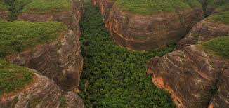  Piauí reduz desmatamento da Mata Atlântica em 76%