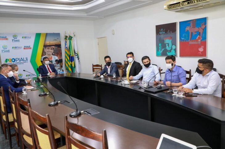  Governador e Wilson Brandão discutem com investidores instalação de usina fotovoltaica de 1GW no Piauí