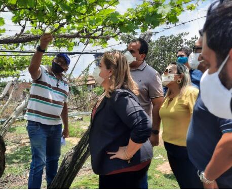  Deputado Georgiano e Simone Pereira visitam projetos agrícolas em Guadalupe