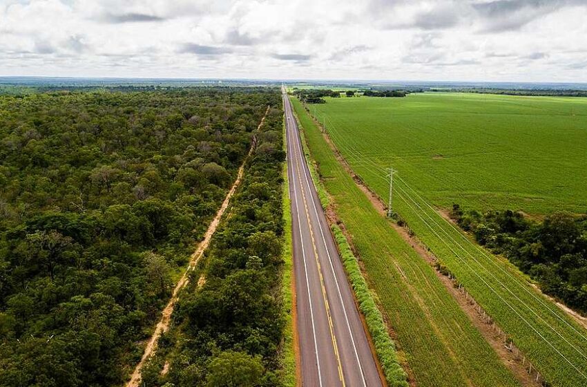  Produção agrícola do Piauí é recorde em 2021