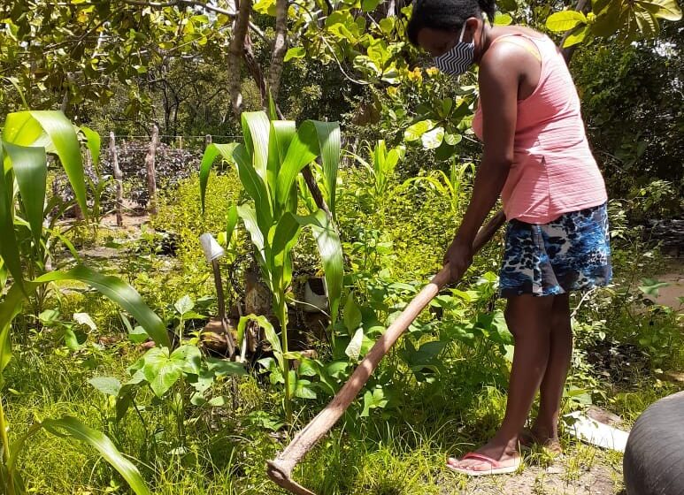 Mulheres de quilombola ampliam renda com a venda de produtos agroecológicos