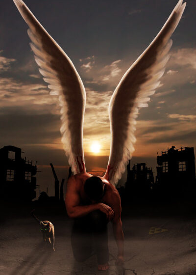  Anjos sem asas