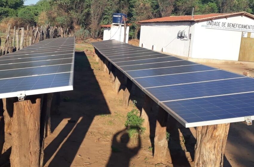  Energia solar reduz custo de produção de agricultores familiares