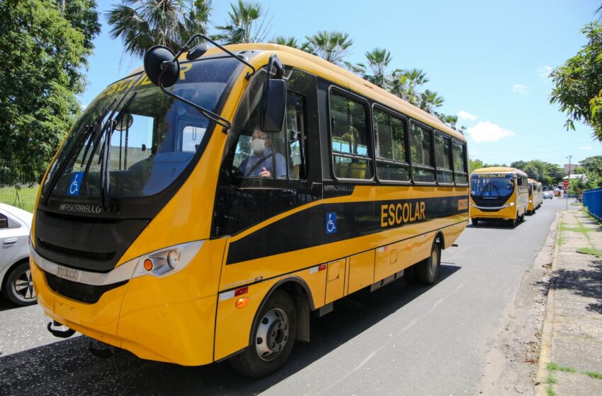  Piauí recebe novos ônibus escolares na segunda (26)