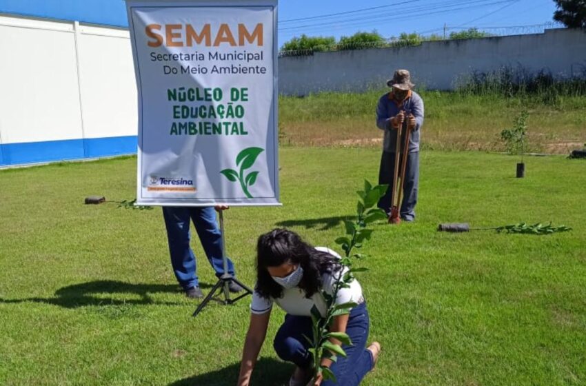  escolas municipais realizam atividades na Semana do Meio Ambiente em Teresina