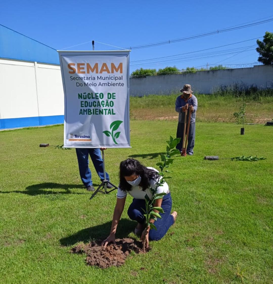 escolas municipais realizam atividades na Semana do Meio Ambiente em Teresina