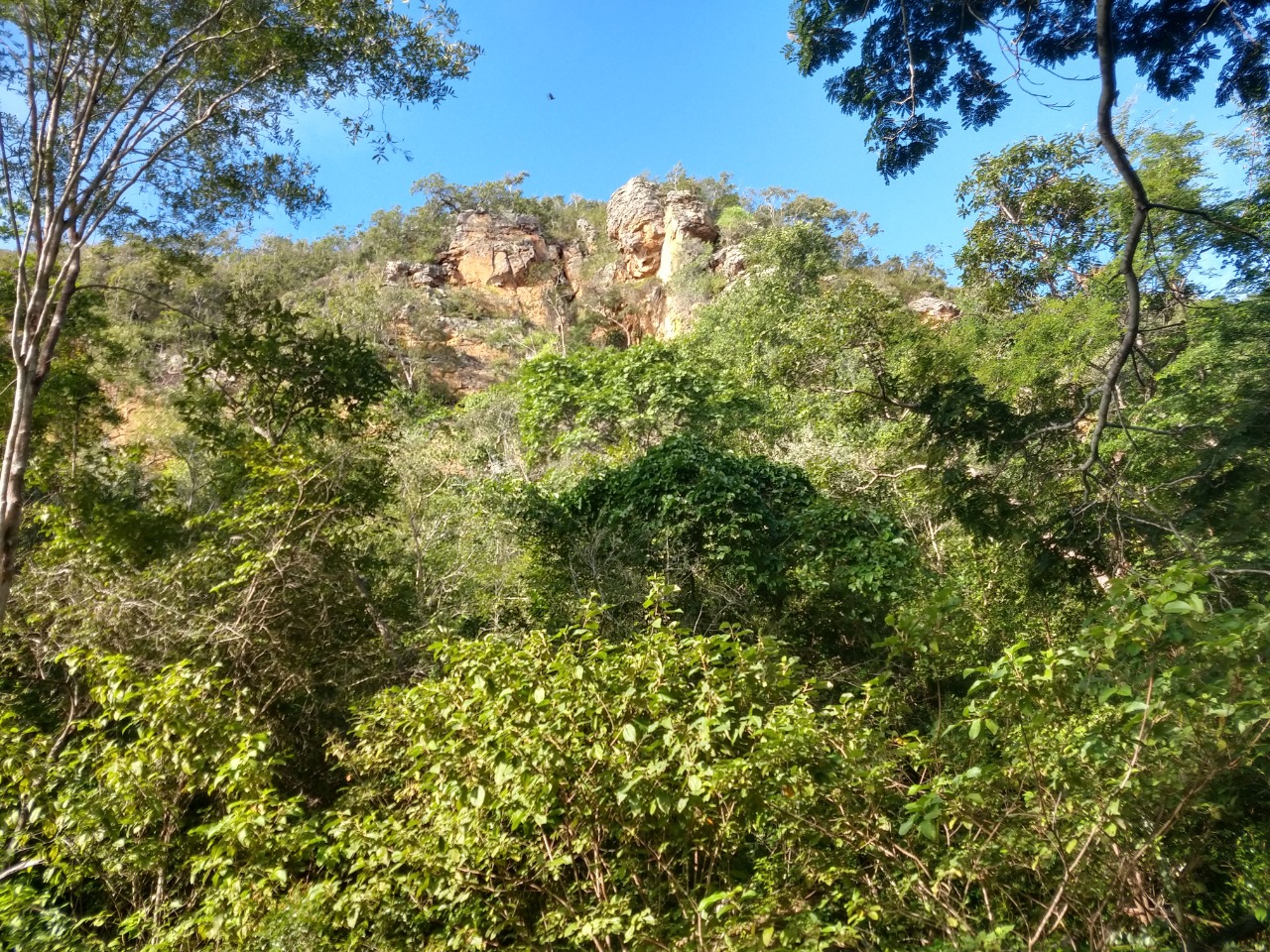 A Batalha da Serra do Morcego – Conto de José Luiz de Carvalho