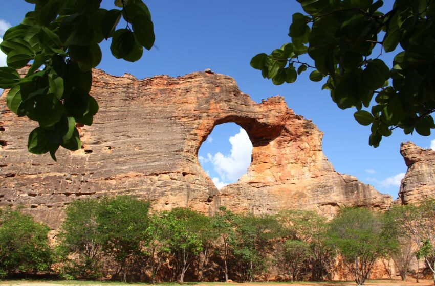  Deputados aprovam criação da Rota Turística de Paleontologia no Piauí
