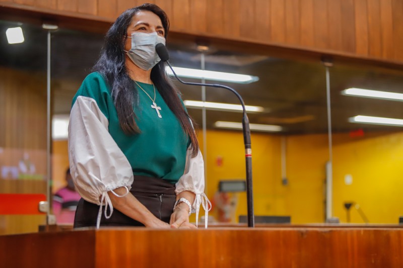 Teresa Britto propõe audiência para discutir as queimadas e critica Sádia Castro