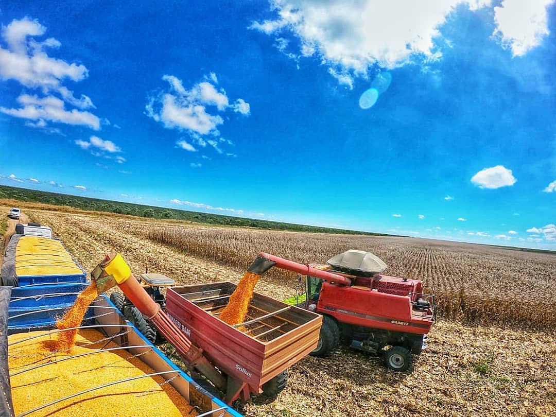 Dez cidades produzem R$ 4,5 bi do valor da cultura agrícola do Piauí
