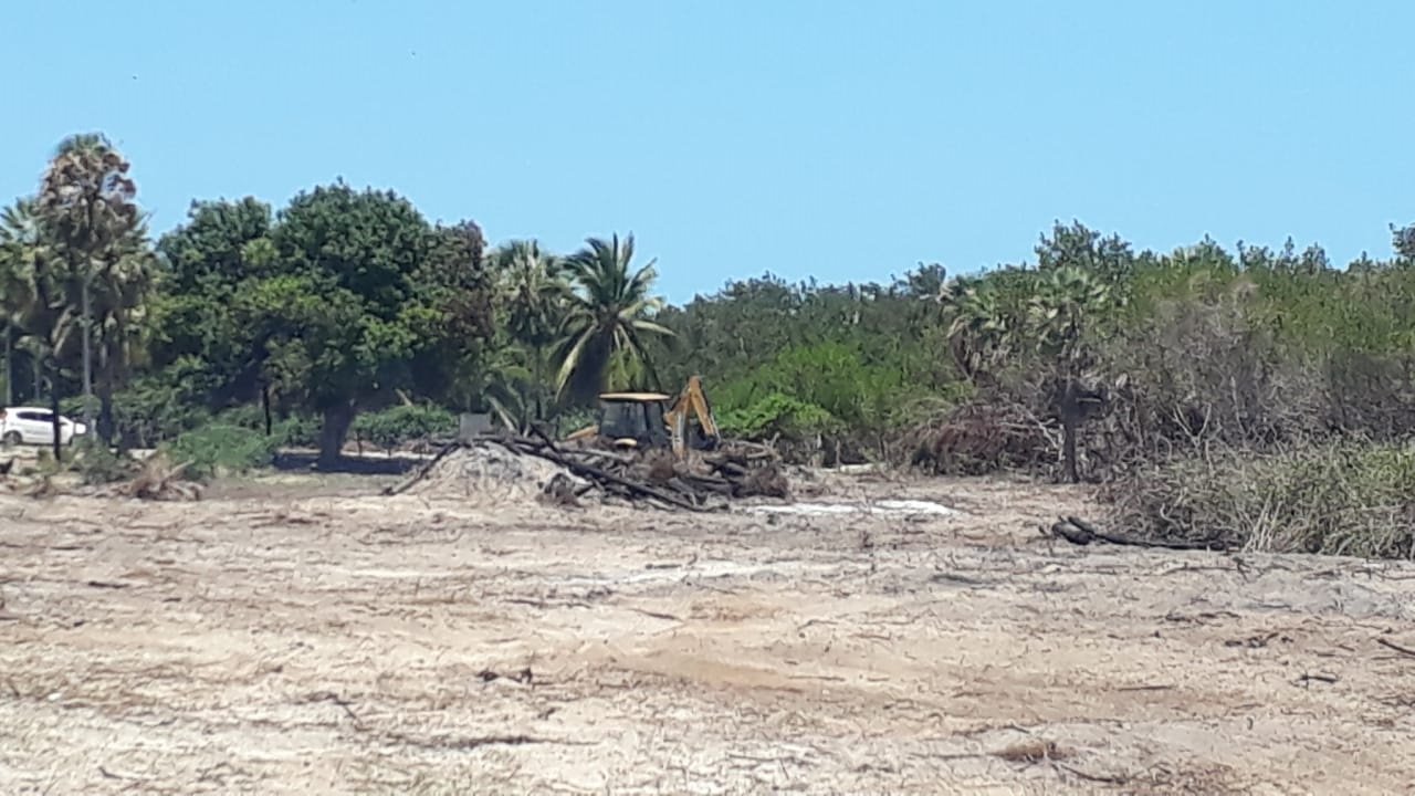 TCE realiza audiência sobre invasões em Cajueiro da Praia