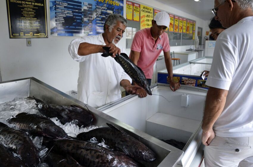  Doença “urina preta” pode estar relacionada a consumo de frutos do mar