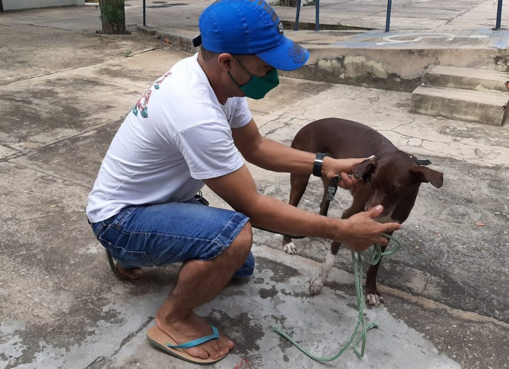 Neste sábado (6) tem vacina contra a raiva nas zona Sul e Sudeste