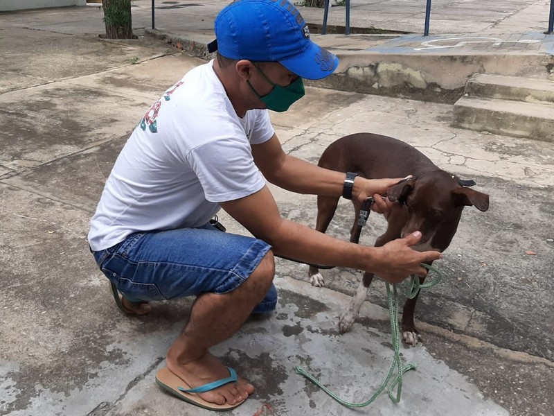 Neste sábado (20) tem vacina contra a raiva nas zonas rurais Sul e Sudeste 