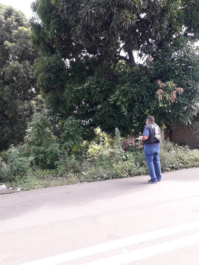 Prefeitura intensifica fiscalização em terrenos baldios para evitar dengue