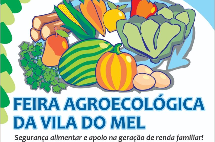  Betânia do Piauí inicia hoje(08) Feira Agroecológica da Vila do Mel