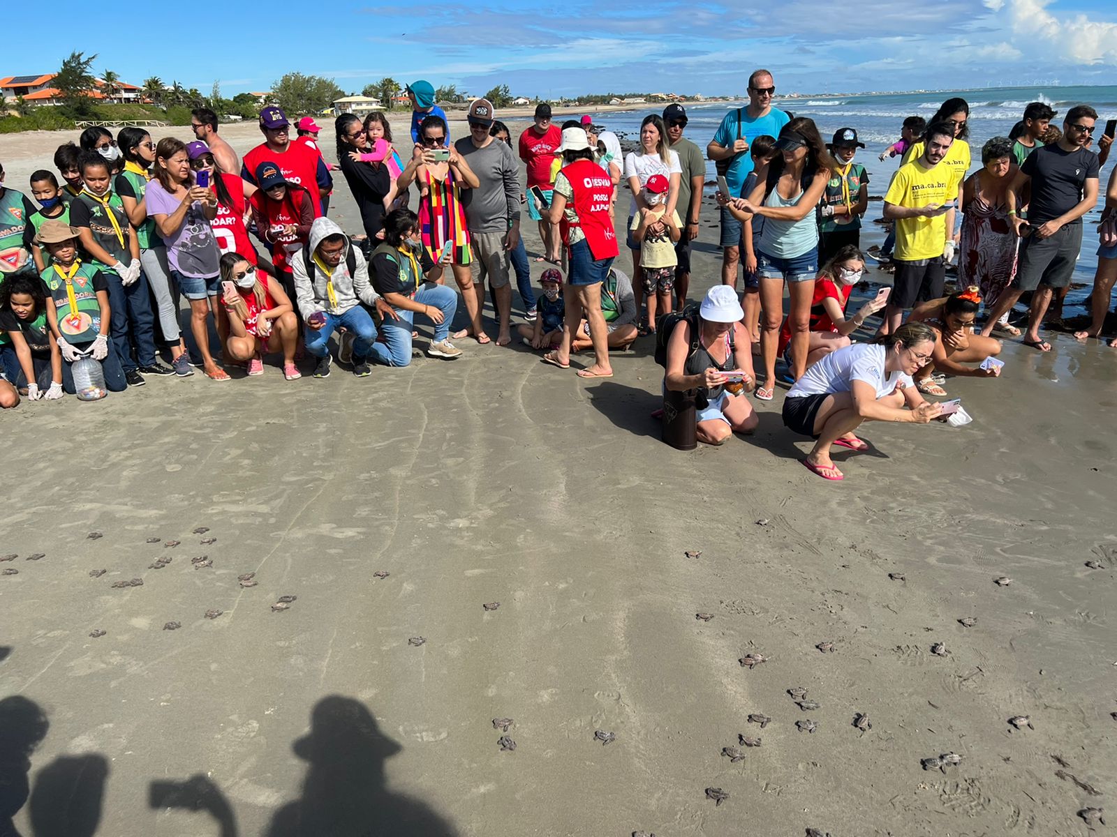 Instituto Tartarugas do Delta conduz nascimento de 113 tartarugas no Coqueiro