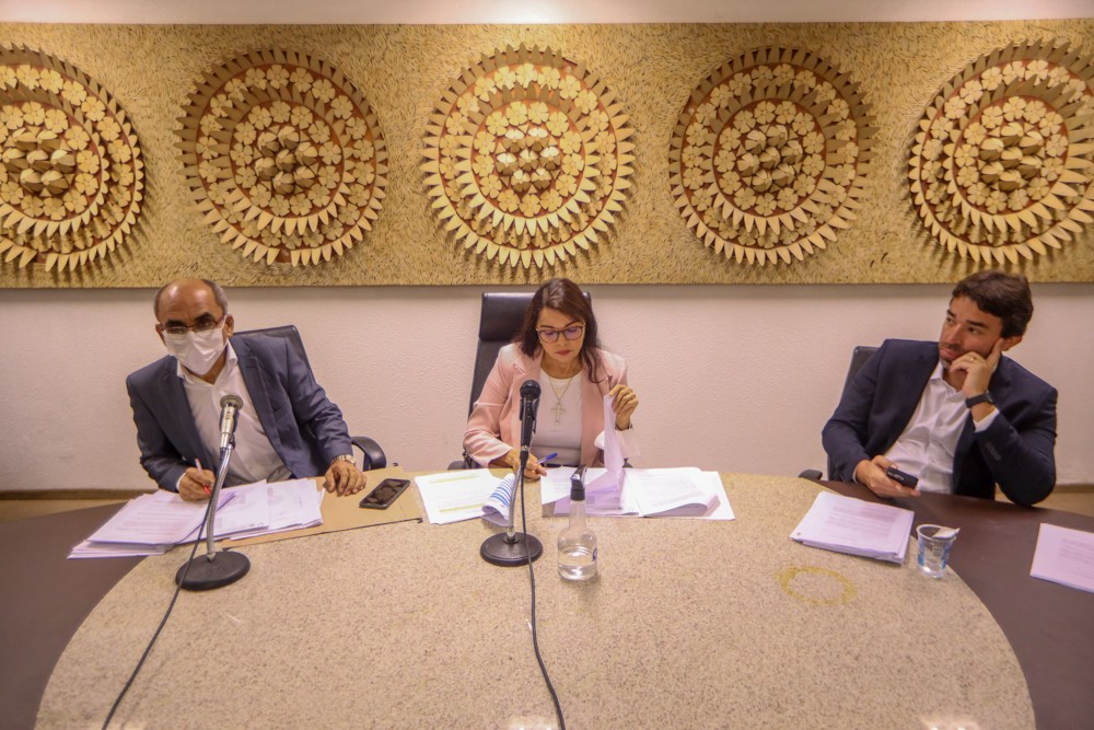 Deputados divergem sobre atuação de doulas em hospitais