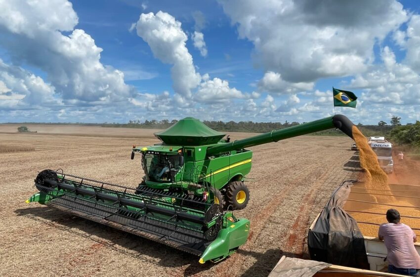  Safra de grãos do Piauí cresceu 22%