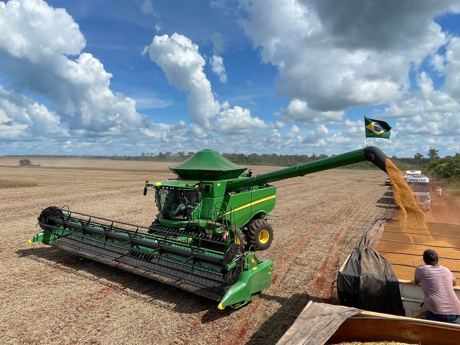 Safra de grãos do Piauí cresceu 22%