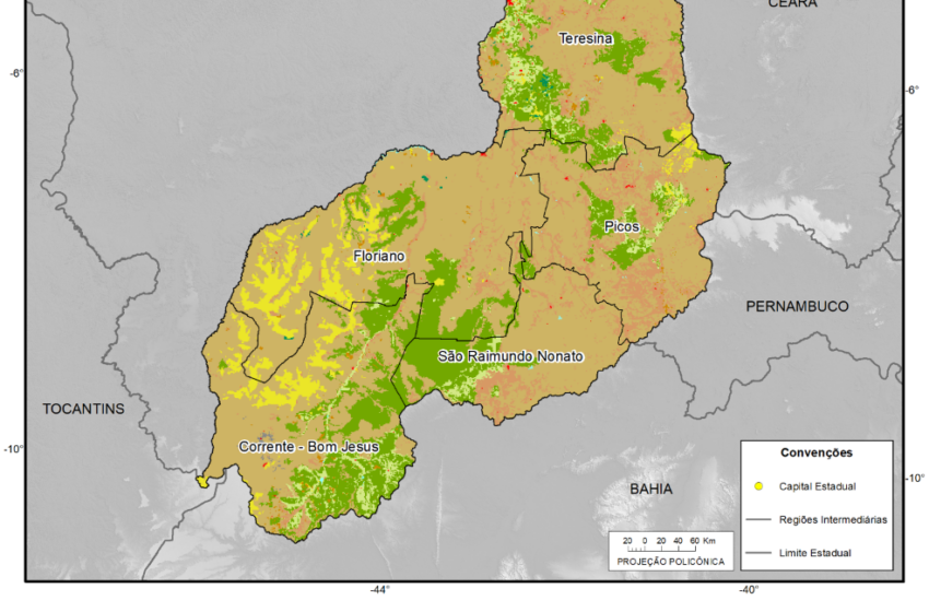  Vegetação nativa do Piauí reduz 5,9%