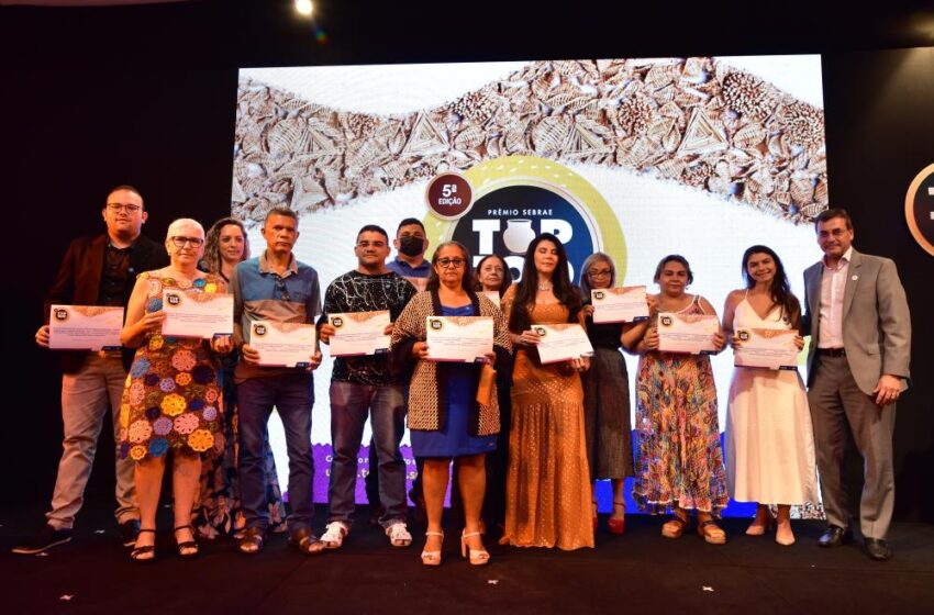  Piauí fica em 5º lugar no Prêmio Sebrae Top 100 de Artesanato