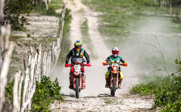 Piocerá começa hoje no Maranhão(22)