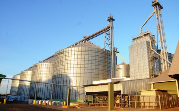  Milho atinge recorde de 89% nas exportações do Piauí