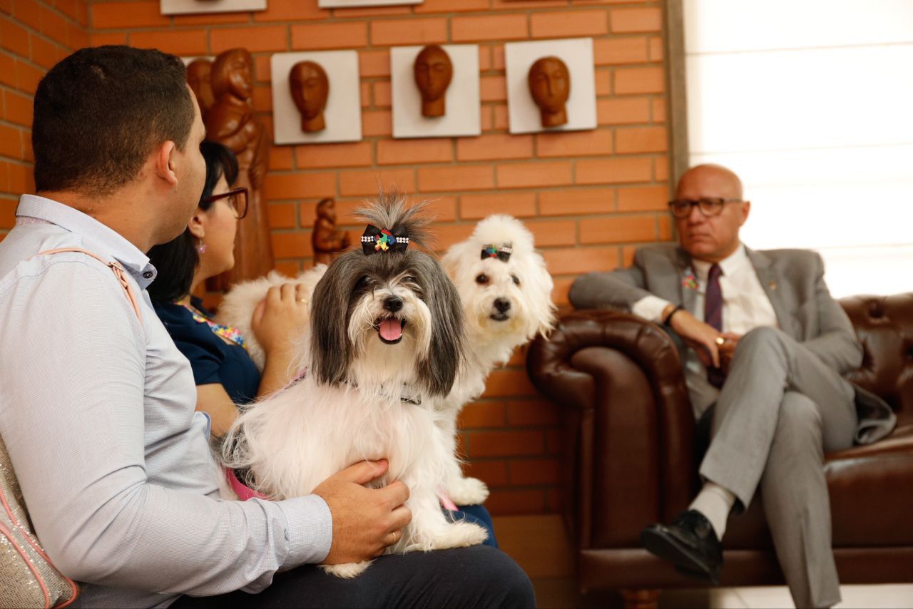 Projeto obriga permanência de animais em estabelecimentos