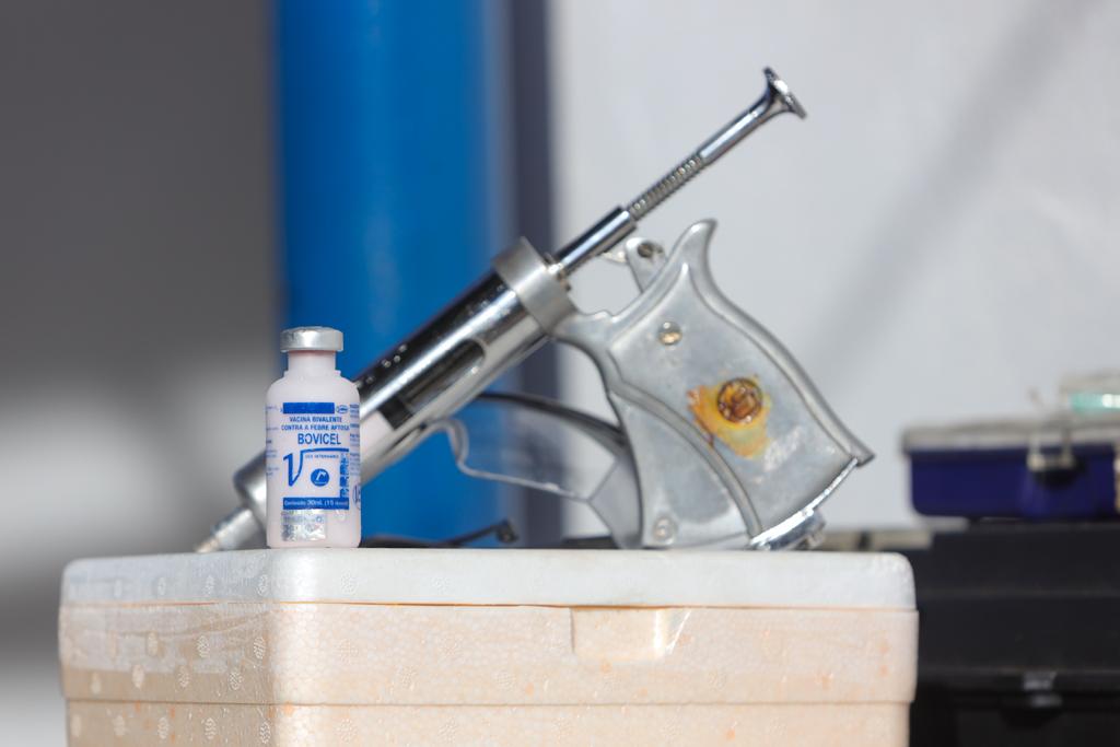 Campanha de Vacinação contra Febre Aftosa é prorrogada