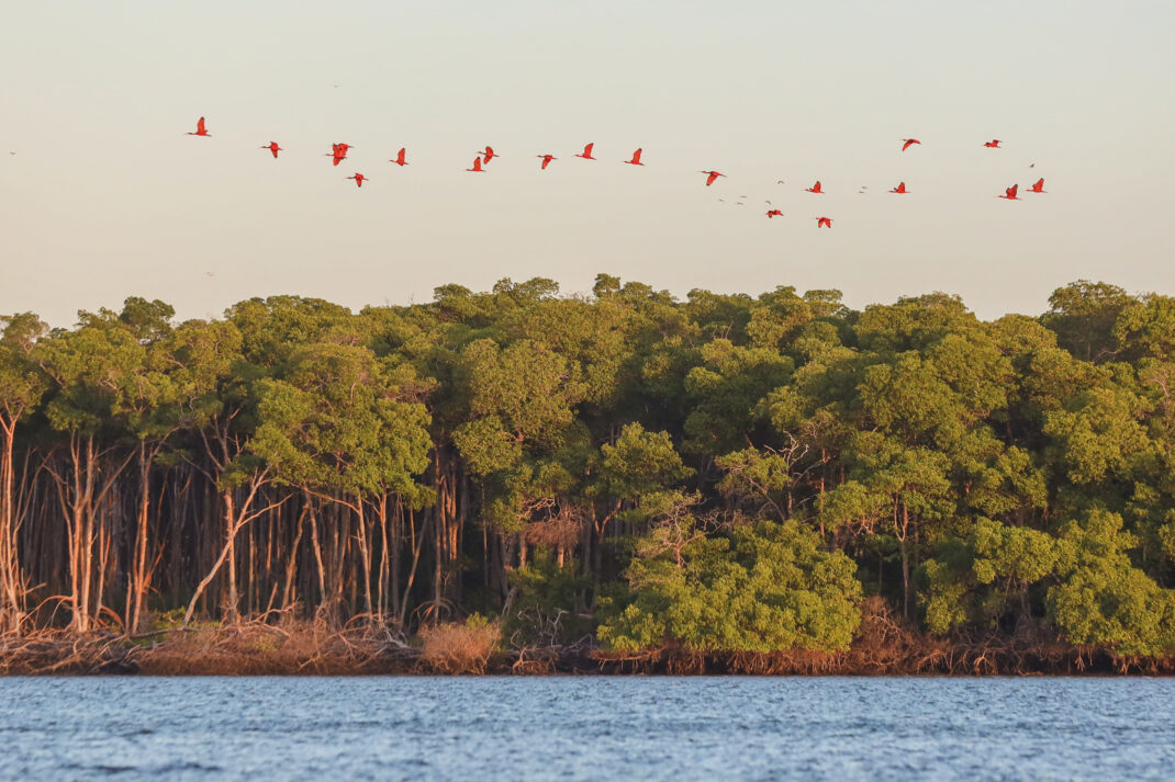 Conheça os destinos turísticos do litoral piauiense