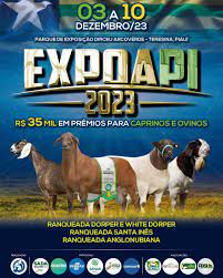  Expoapi 2023 será lançada hoje(14)