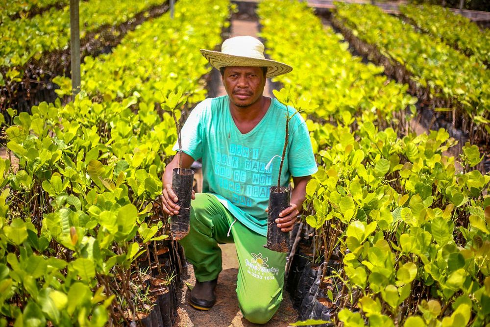 Plano Safra 2023/2024  é lançado nesta terça(14)