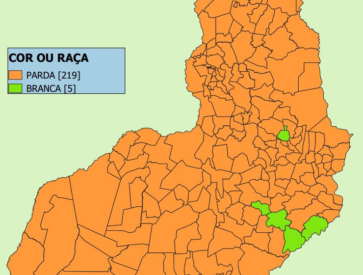  População parda predomina em 98% dos municípios piauienses