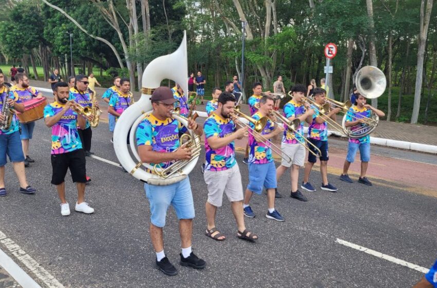  Prefeitura realiza Projeto Frevo Teresina nos domingos do Pré-Carnaval