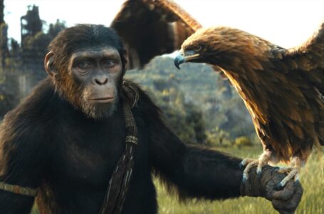 “Planeta dos Macacos: O Reinado” estreia no Cinemas Teresina