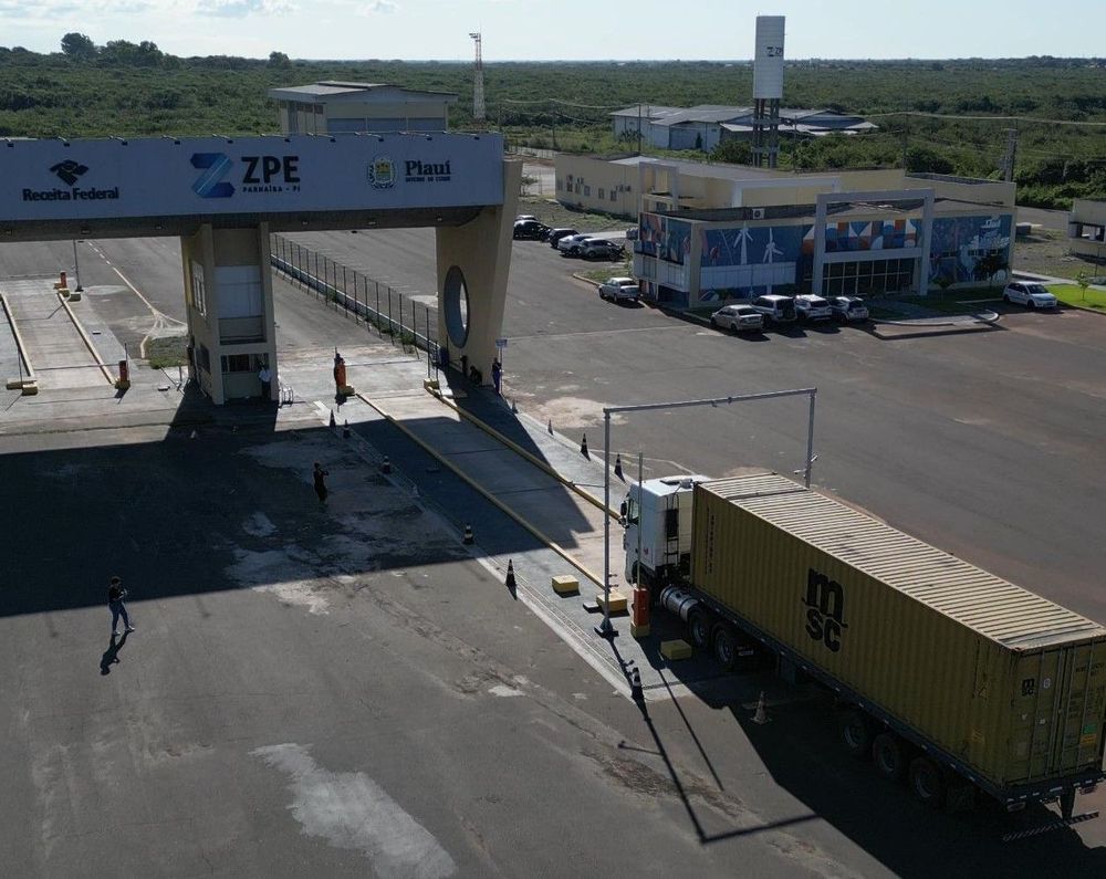 Piauí exporta carnaúba processada para Alemanha