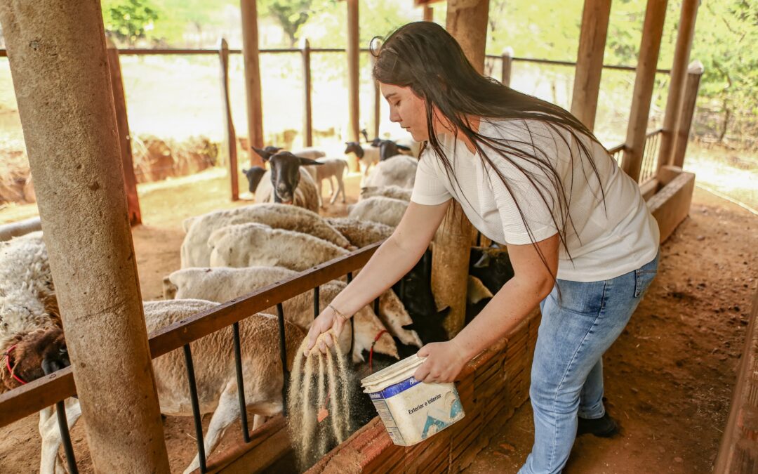 Inicia hoje(09) Programa Juventude Rural Transformadora