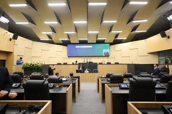 Deputados apreciaram 786 matérias no ano de 2024