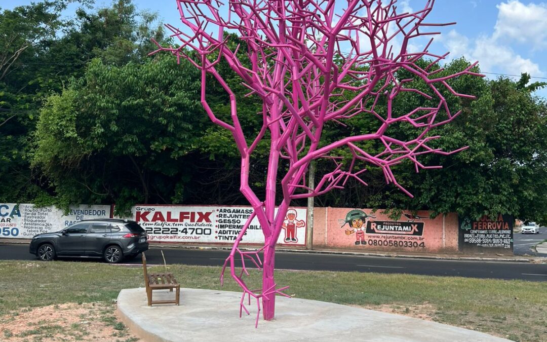 Fundação Maria Carvalho Santos distribui mudas de plantas