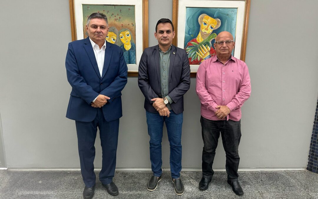 TCE Piauí e AVEP reafirmam parceria para capacitação de vereadores