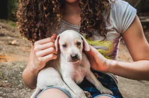 Brasil tem 3ª maior população pet do mundo
