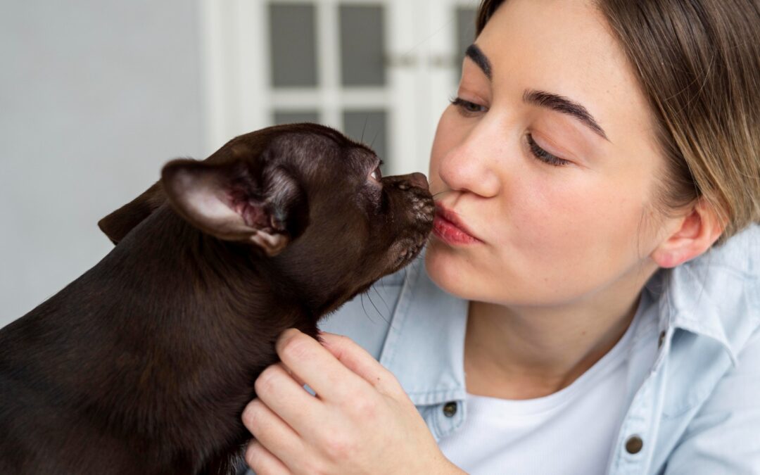 “Lambeijos” dos pets podem ser perigosos à saúde humana