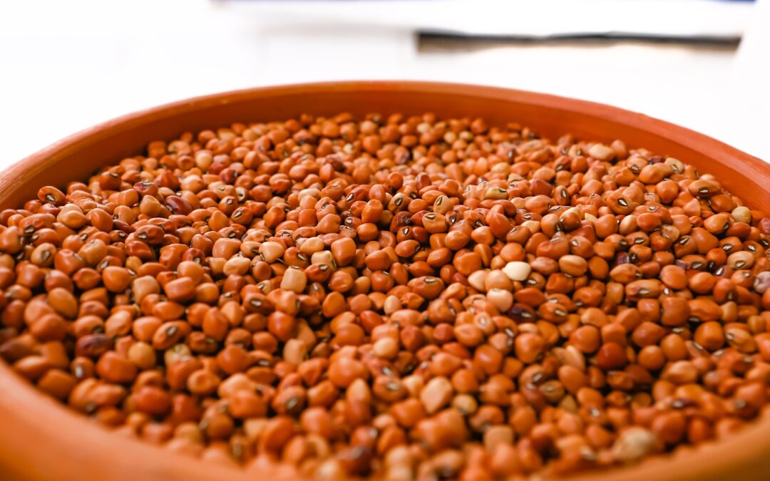 Governo distribui 22 toneladas de sementes crioulas