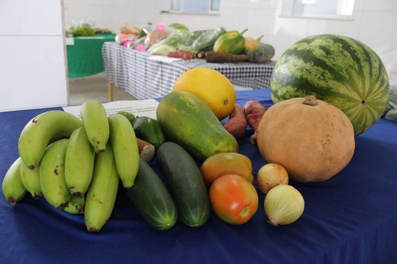 SEMEC divulga resultado da Chamada Pública da Agricultura Familiar