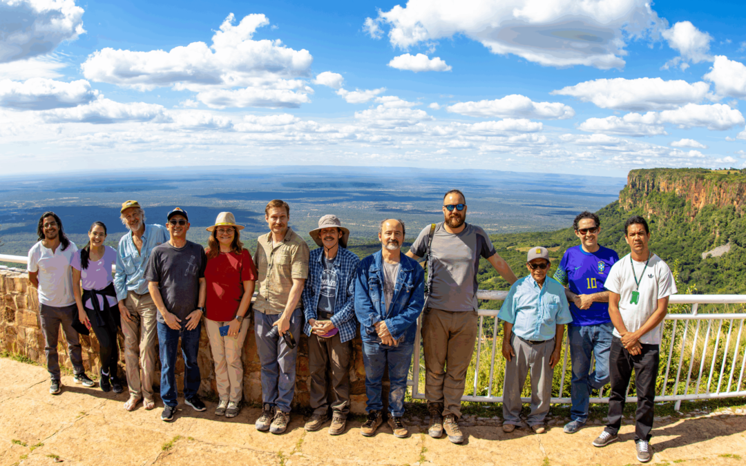 Pesquisadores americanos fazem mapeamento do “DNA das opalas” em Pedro II