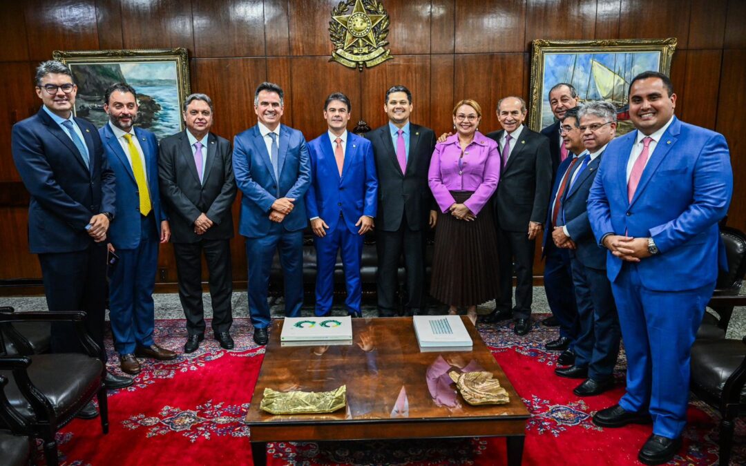 Júlio Arcoverde articula representatividade do Piauí na Câmara dos Deputados
