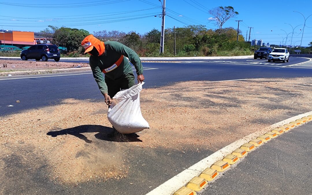 Defesa Civil tenta evitar novos acidentes causados por óleo
